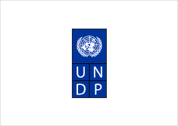 undp-bela